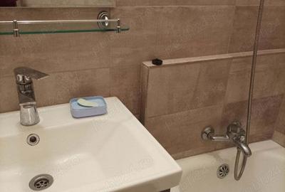 Apartament cu 2 camere decomandat în Gorjului - 7