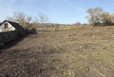 Teren de 1200 mp, în Tomești - 4