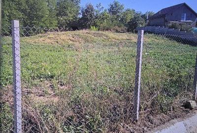 Teren de 2700 mp, în Plopu - 5