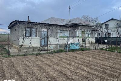 Casă cu 3 camere în Negoiești - 4