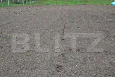 Teren intravilan de vanzare in Calarasi langa Turda! - 4