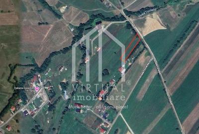 Teren de 2000 mp, în Sadu - 5