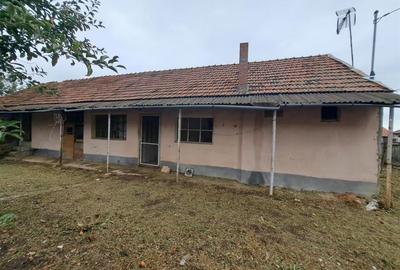RECO  casa batraneasca Salard - 11