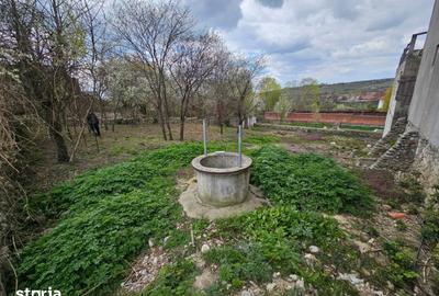 Casă cu Teren 1863 Mp în Baia de Fier - 18