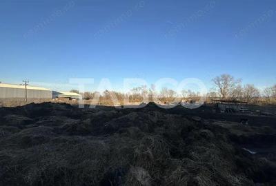 Spațiu comercial, de 275 mp, în Ileni - 1