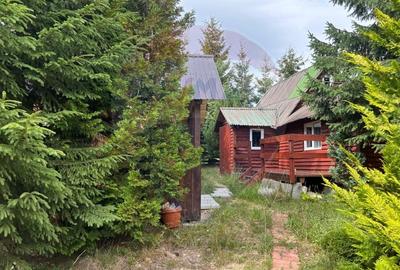 Cabana Marisel aproape de partia de ski- COMISION 0% - 12