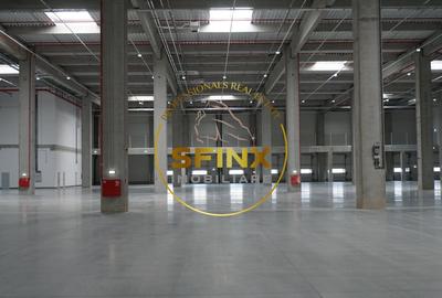 Spațiu industrial, de 1,300 mp, în Nord-Est - 7