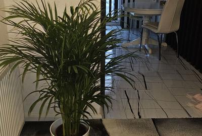 Apartament cu 2 camere semidecomandat în Central - 2