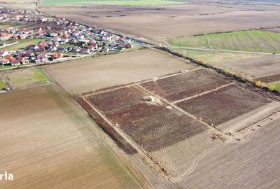 Spațiu comercial, în Bucovăț - 4