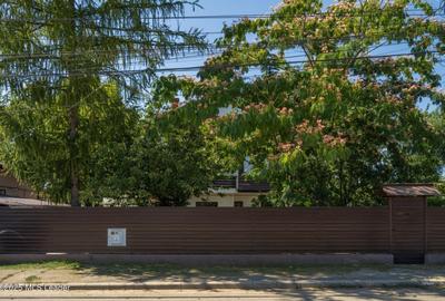 Casa de vacanta cu teren 5394 mp, Pucioasa, Dambovita - 15