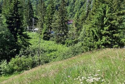 Predeal-Teren intravilan de vanzare - 3