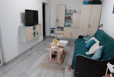 VANZARE GARSONIERA IN CARTIERUL NOUA, PRUNULUI, ZONA PENNY VANZARE GARSONIERA IN CARTIERUL NOUA, PRUNULUI, ZONA PENNY - 2