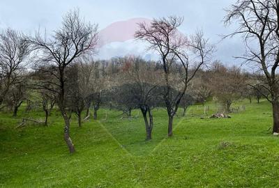 Teren agricol extravilan de 48428 mp, în Laz (Vințu de Jos) - 1