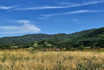 Teren superb in zona Fagaras, ideal pentru vacanta/Comision 0% - 6