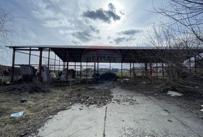 Teren Construcții intravilan de 73351 mp, în Sud - 14