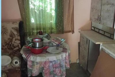 Casă cu 2 camere cu Teren 3000 Mp în Central - 3