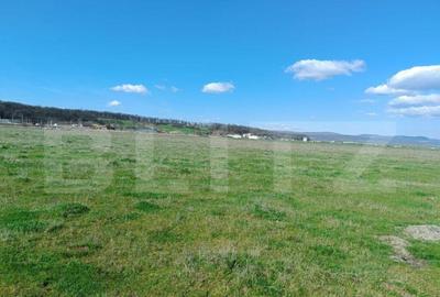 Teren zona industriala - 1