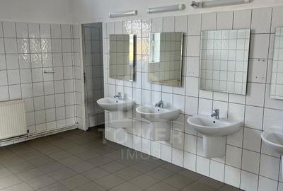 Hală industrială de închiriat în Cisnădie, județul Sibiu - 19