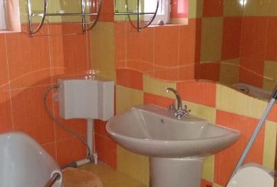 Apartament 3 camere. Therme_Balotesti - 12