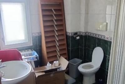Casă individuală cu 5 camere cu Canalizare în Doamna Ghica - 3