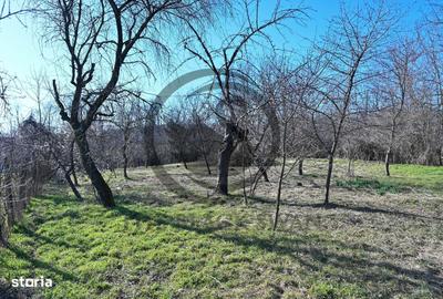Casă cu 3 camere cu Canalizare în Filipeștii de Pădure - 18