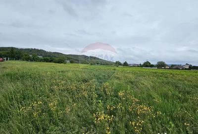 Teren de 1495 mp, în Dobreni - 3