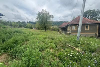 Vand casa in localitatea ?armure, jud Arad - 4
