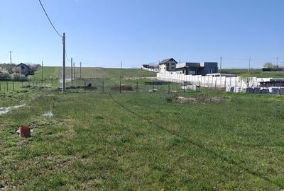 Spațiu comercial, în Pielești - 5