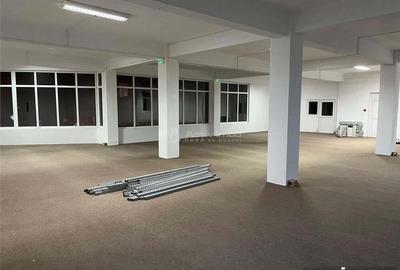 Resita,Spatii Open Space, 160 mp. 230 mp.300 mp. Central Govandari - 8