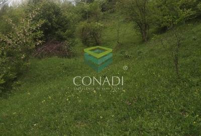 Teren de 800 mp, în Central - 12