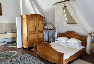 Casă cu 11 camere în Horodnic - 8