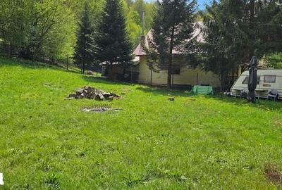 Teren de 2450 mp, în Bulz - 7