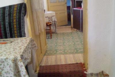 Casa in com. Cascioarele CL - 6