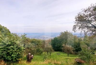 Teren de 1710 mp, în Feleacu - 2