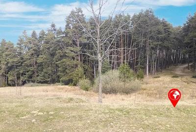 Teren de 3000 mp, în Poiana Angelescu