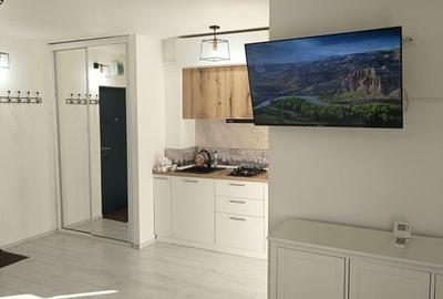 Apartament 1 camera de inchiriat - IC Frimu, 28 mp, complet mobilat - 5