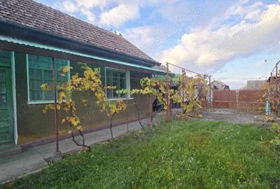 Casă cu 3 camere în Central - 17