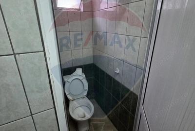 Ansamblu casa de locuit, hala productie ,spatiu de birouri si teren - 13