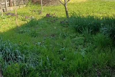 Casă cu 3 camere în Gara Bobocu - 3