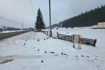 Teren de 5000 mp, în Gura Humorului - 3