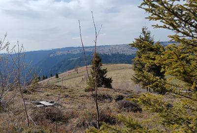 Spațiu comercial, în Măguri - 3