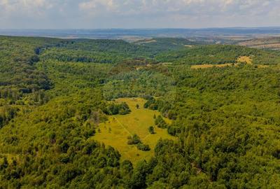 COMISION 0% Teren Grid/Inima Naturii/ Oportunitate de inv... - 5