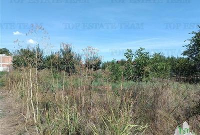 Teren intravilan in localitatea Cornetu cu deschidere mare, ideal pentru dezvolt - 5