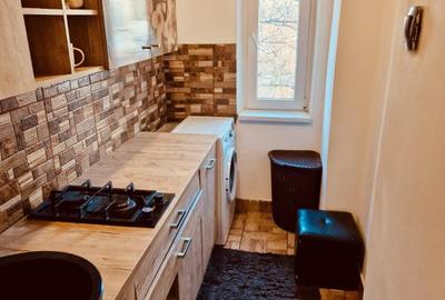 Apartament cu 2 camere, zona Podu Ros - 3