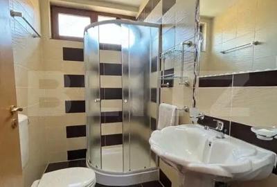 Spațiu comercial, de 760 mp, în Lugojului - 8