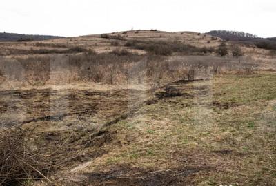 Teren în Borhanci - 9