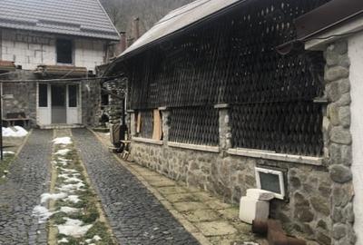 Cabane in inima naturii, langa Sibiu - oportunitate turistica unica - 3