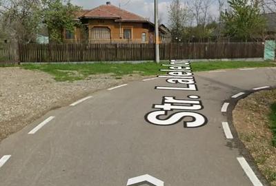 Casă cu 6 camere cu Teren 3555 Mp în Ileana - 4