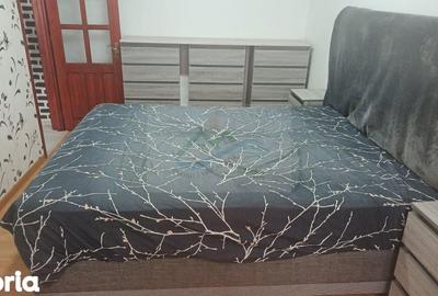 Apartament cu 3 camere în George Enescu - 6