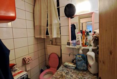 Apartament cu 3 camere decomandat în Gării - 12
